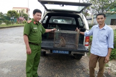 Receive rare wildlife individuals to rescue